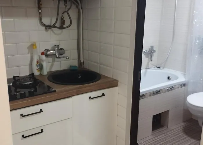 Shota Rustaveli * Lwów